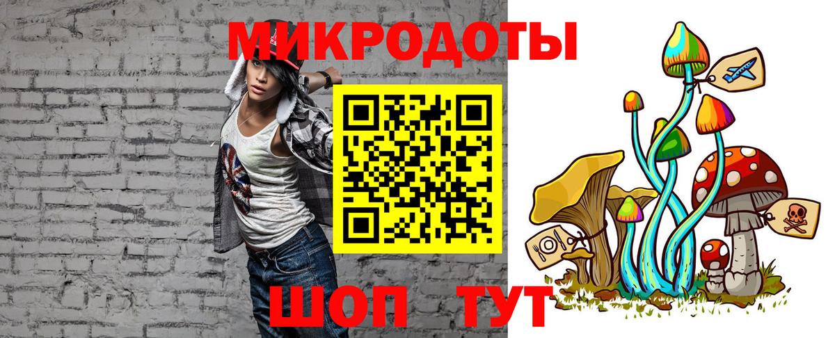 Галлюциногенные грибы Psilocybine cubensis  Вход с VPN  Зеленогорск 